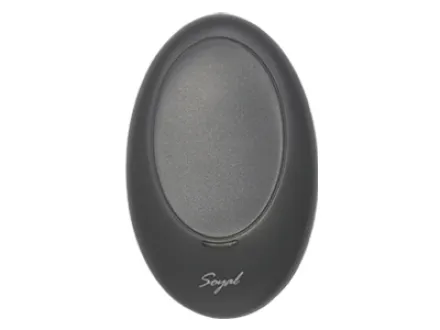 RFID controller (Without Keypad) SOYAL ACCESS CONTROL - AR-737 (H-R) 1 ar_737_h_r